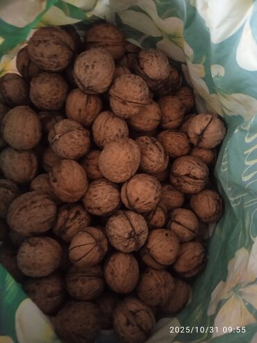 куплю электро инструменты: Грецкие орехи в скорлупе - Цельные ядра в крепкой натуральной at lalafo.kg куплю электро инструменты: Грецкие орехи в скорлупе - Цельные ядра в крепкой натуральной