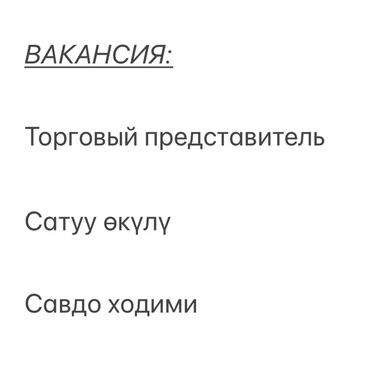 жумуш маналит: Соода агенти. Өз унаасы менен