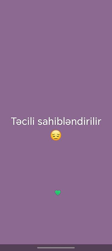 pişik sahibləndirilir: Şotland, Yaxşı əllərə — 2