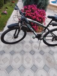 riyaziyyat 8 ci sinif pdf yukle: Ella veziyetdedi tetekleri birez yiyilib 120₼ lalafo.az -da riyaziyyat 8 ci sinif pdf yukle: Ella veziyetdedi tetekleri birez yiyilib 120₼