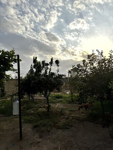 Kirayə torpaq sahələri: 6 sot Tikinti, İşıq, Kanalizasiya, Qaz — 4