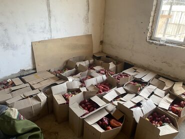 конверты бумажные: Калемпир Таттуу, Дүңүнөн