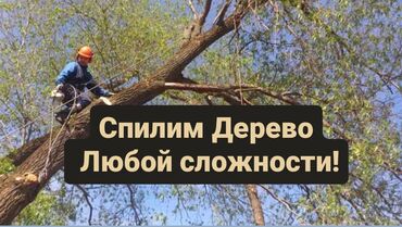 обрезка деревьев: Валим деревья, заготовка дров, заготовка на материал, услуга