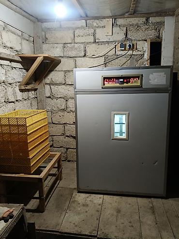 Tam avtomat