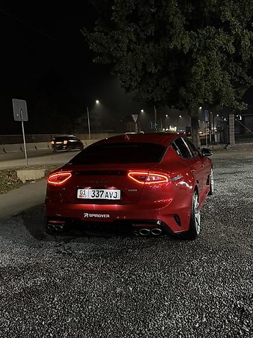 киа к5 хищник: Kia Stinger: 2019 г., 2 л, Автомат, Бензин, Лифтбек — 5