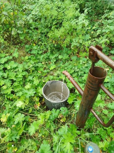 Torpaq sahələrinin satışı: 4 sot, Tikinti, Maklerlər narahat etməsin, Kupça (Çıxarış) -da lalafo.az — 6 Torpaq sahələrinin satışı: 4 sot, Tikinti, Maklerlər narahat etməsin, Kupça (Çıxarış) — 6