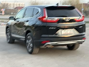 Honda: Honda CR-V: 2019 г., Кроссовер — 4