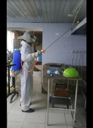 Дезинфекция, дезинсекция: Дезинфекция, дезинсекция, | Клопы, Блохи, Тараканы, | Транспорт, Офисы, Квартиры — 9