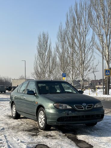 ниссан тиранно: Nissan Primera: 2002 г., 1.8 л, Механика, Бензин, Хэтчбэк