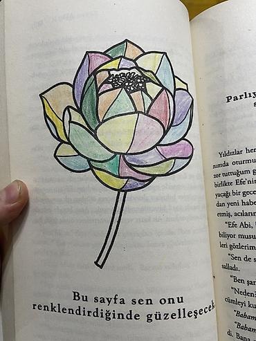 güldanlar: Məhsul: Beyza Alkoç kitab seti Təmizdi sadecə bir vərəqindəki gül — 2