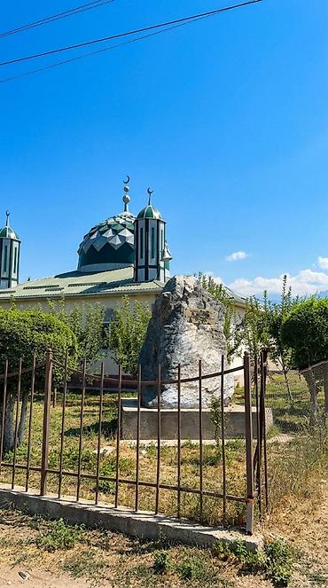 алтын казык ж м: 8 соток, Для строительства, Красная книга — 7