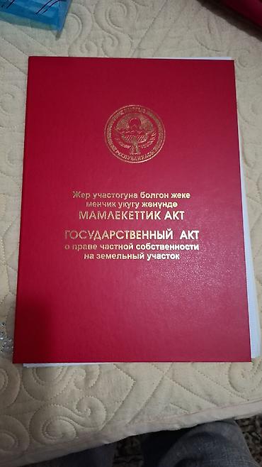 Жер тилкелери: 10 соток, Кызыл китеп — 1