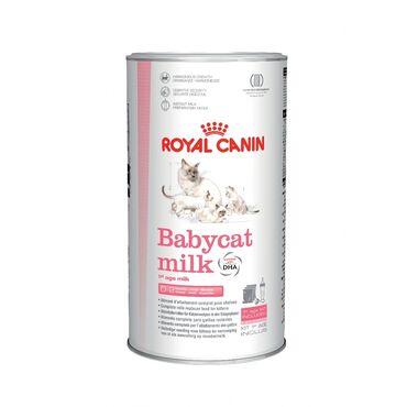 segway ucuz: Royal Canin BABYCAT MILK Pişik toz südü, doğuşdan süddən kəsilənə