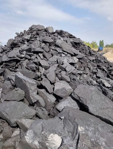 цена мишки на день рождения: Комур Уголь т 5500