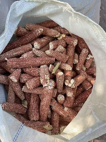 коробки пустые купить: Качерышки для топки печки и также для выращивание Грибов Кукурузные — 2