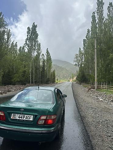 almera: Nissan Almera: 2001 г., 1.5 л, Механика, Бензин, Седан — 6