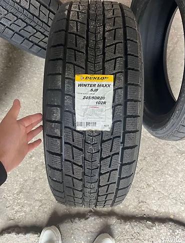 285 65 18: Шины 245 / 50 / R 20, Зима, Новый, Комплект, Внедорожные (АТ/МТ), Япония, Dunlop — 1