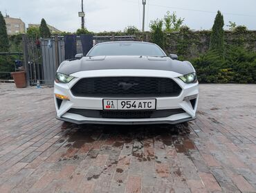 расширительный бачок форд фокус 2: Ford Mustang: 2023 г., 2.3 л, Автомат, Бензин, Хетчбек