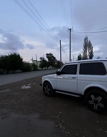 lada priora: ВАЗ (ЛАДА) 4x4 Нива: 2010 г., 1.7 л, Механика, Бензин, Внедорожник — 3