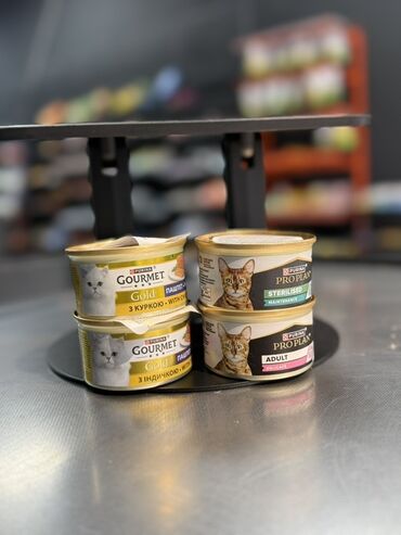 купить корм для кошек дешево: Purina: Gutmet,Proplan паштет Gurmet (индейка ) 100сом Proplan