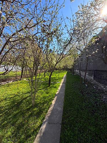 Продажа дач: 🏡 ДАЧА В БЕШ-КЮНГЕЙ — У РЕКИ! 🌿 Топовая локация: всего 100 м от Royal — 2