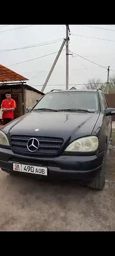 w163: Mercedes-Benz ML-Class: 2003 г., 3.2 л, Автомат, Бензин, Кроссовер — 3