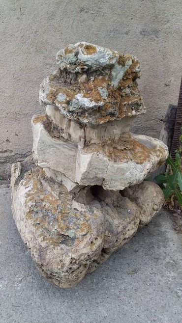 таш баканын тукуму в Кыргызстан | ТАШ: Камень для декора, натуральный сланец