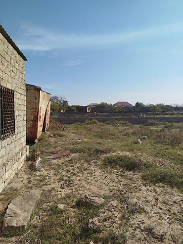 bulbule qesebesi: 12 sot, Tikinti, Maklerlər narahat etməsin, Kupça (Çıxarış) — 6