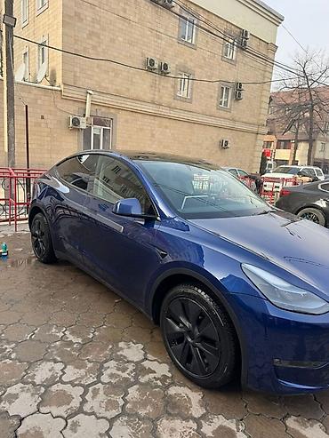 Tesla: Tesla Model Y: 2024 г., Электромобиль, Кроссовер — 3