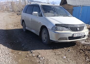 адисей карапка: Honda Odyssey: 2000 г., 3 л, Автомат, Бензин