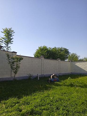 Покраска: Покраска стен, На водной основе, Больше 6 лет опыта — 19