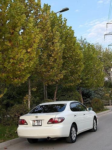 Продажа авто: Toyota Windom: 2003 г., 2.4 л, Автомат, Бензин, Седан — 2