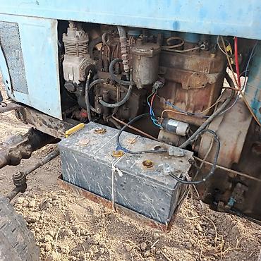 Капуста: Капуста — 3