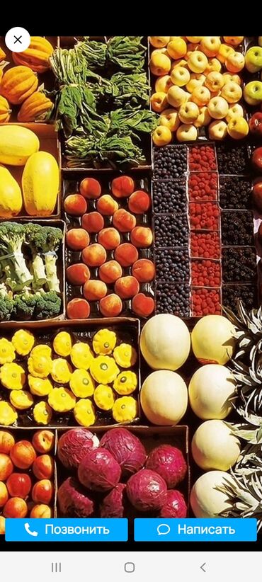 цокольное помещение аренда: Сниму помещение(торговую точку)для продажи овощей и фруктов