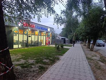 Жер тилкелери: 1 соток Бизнес үчүн, Газ, Электр энергиясы, Суу — 3