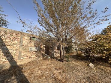 Продажа домов: Дом, 1200 м², 5 комнат, Собственник, Старый ремонт — 23