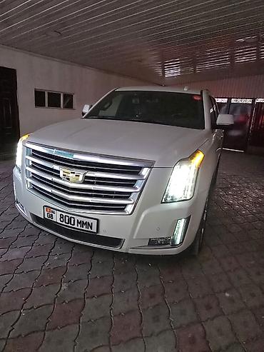 cadi: Cadillac Escalade: 2020 г., 6.2 л, Автомат, Бензин, Внедорожник — 1