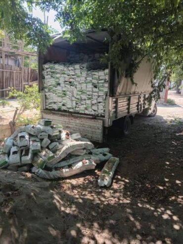 Kakabit: Kakabitler.KOKO CHAMPION. Meşokun biri 40 qep. Meşokda 2 kq olur. Ela — 4