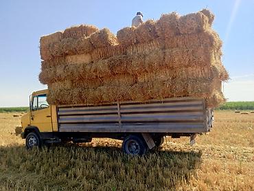 Такси Кара балта 7 тонна Тюки соломы пшеничной (прямоугольные