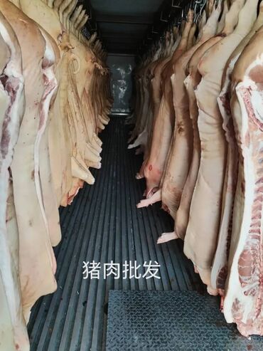 плов на заказ: 豬肉（胴體）批發 - 半胴體/整胴體豬肉，懸掛於掛鉤上。 - 冷藏產品，冷藏車內儲存和運輸。 - 保留皮和脂肪；沿切割線清晰可見肉塊。 -