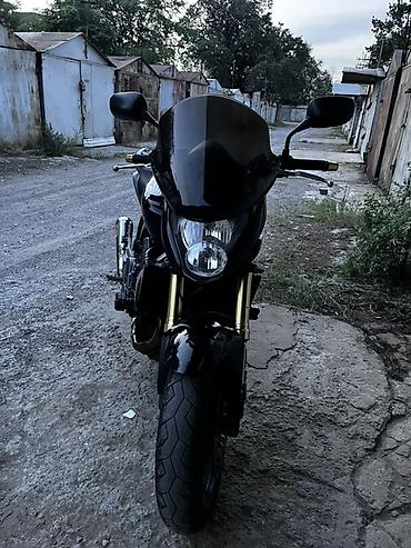 hornet: Naked Honda, 600 куб. см, Бензин, Взрослый, Новый — 4