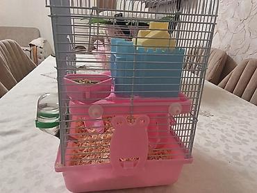 Qəfəslər: Siçan/hamster ile 2 mərtəbəli!qəfəs dəsti 'qızdı yemək və qumu ile — 2