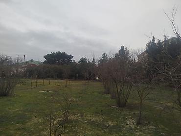Torpaq: 30 sot, Tikinti, Makler, Kupça (Çıxarış) — 3