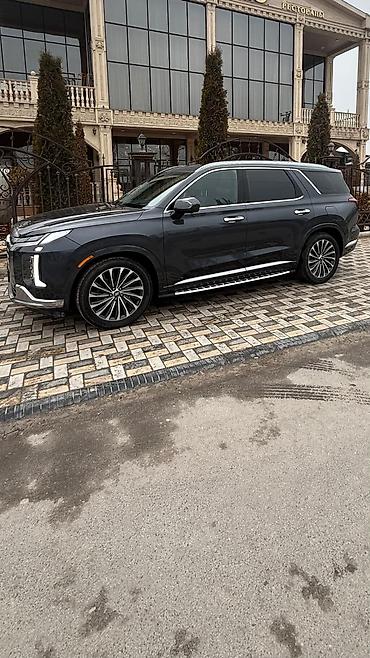 матиз молдинг: Hyundai Palisade: 2023 г., 2.2 л, Автомат, Дизель, Внедорожник — 5