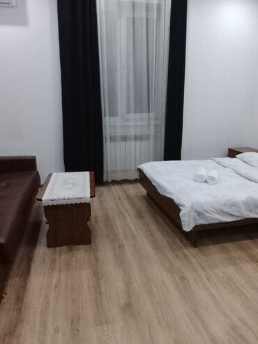 Посуточная аренда комнат: Уютный номер/студия с двуспальной кроватью и дополнительным диваном — 9