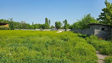 Продажа магазинов: Продается супермаркет в центре села Беловодское, прямо по трассе — 11
