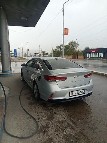 солярис 2 поколения: Hyundai Sonata: 2019 г., 0.2 л, Автомат, Газ, Седан — 10