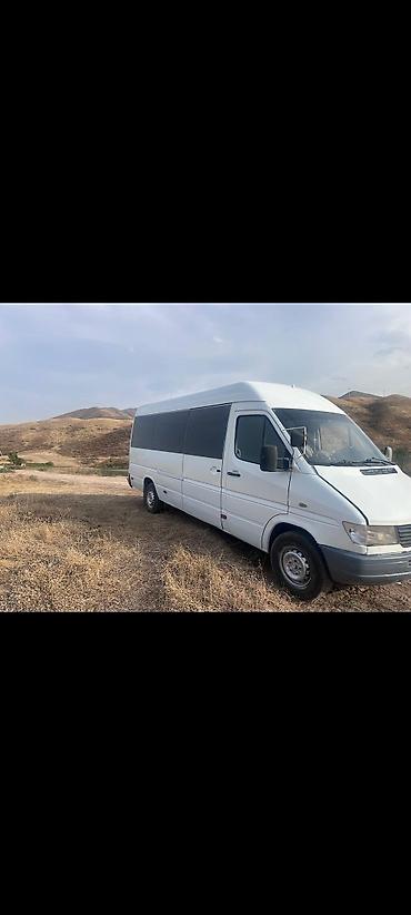 Mercedes-Benz: Mercedes-Benz Спринтер: 1998 г., Бус — 2