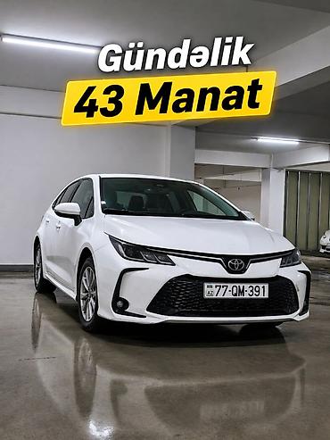 tayota pilus: Günlük, Toyota — 1