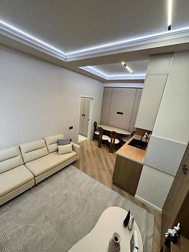 Продажа квартир: 1 комната, 42 м², Элитка, 11 этаж, Евроремонт — 10